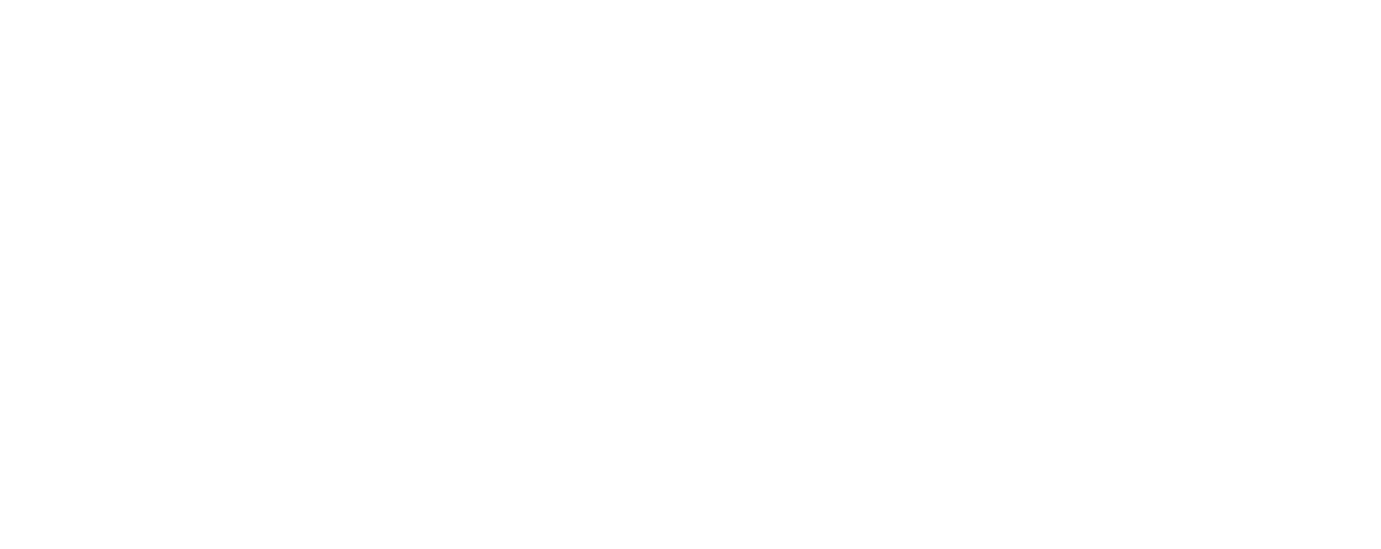 StrataWOLF - Whole of Life Forecasting for Strata Budget Planning